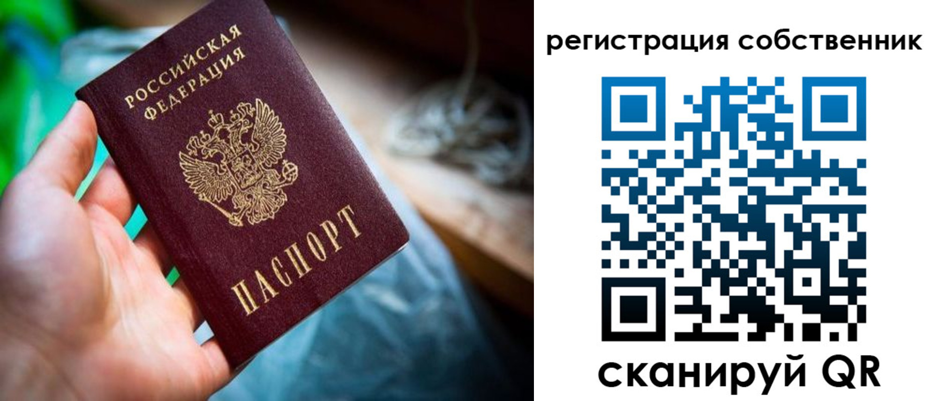 прописка гарантия в Александровске-Сахалинском